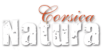 Parc Aventure logo